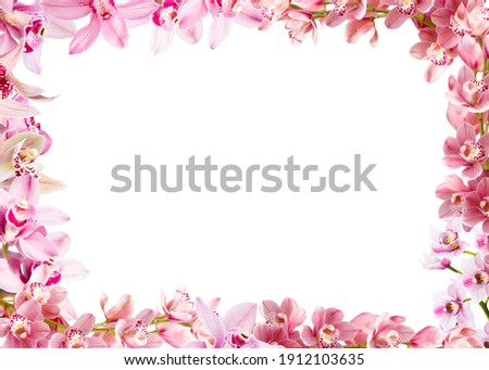 Frame made of flowers. Lovely orchids with copy space
