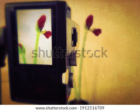 Blurry abstract pictures with black and red on yellow background with vignette concept for photography