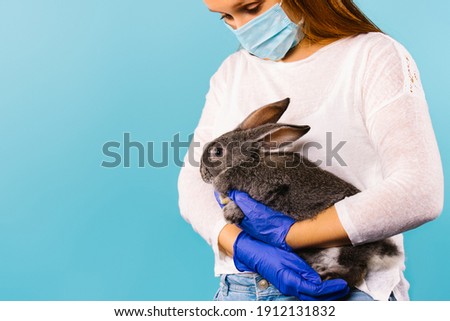 Closeup photo. Portrait of a pretty lovely woman wearing medical mask and gloves isolated over blue background embrace a rabbit. Easter during pandemic.