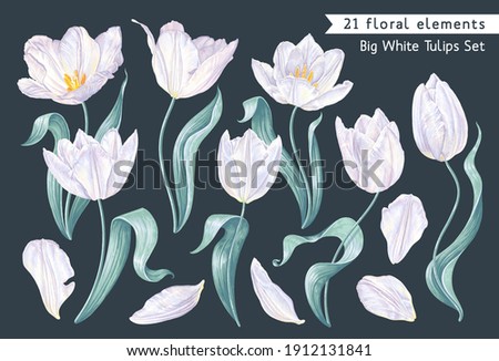 Big set of spring flowers, white vector tulips, highly detailed plants, flowers, leaves, stems and petals in gentle, light shades isolated on dark background. Clip art elements for your design.
