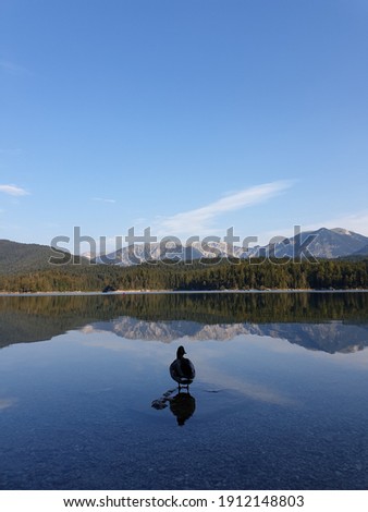 The picture of beautiful Eibsee. Eibsee is a lake in Bavaria, Germany, 9 km southwest of Garmisch-Partenkirchen and roughly 100 km southwest of Munich. 