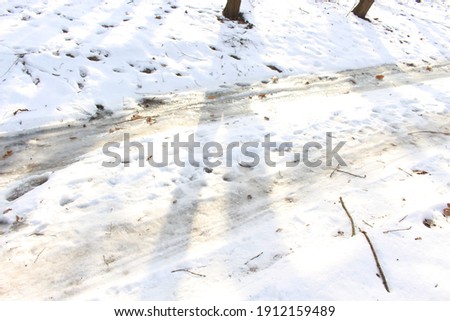 
The icy road runs through the forest