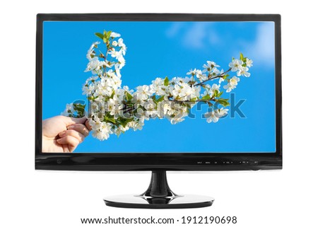 computer screen isolated on a white background