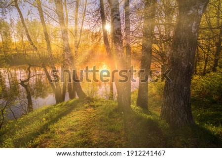 Sunrise near a pond with birches on the shore and fog over the water on a spring morning. Sun rays breaking through birch trees. Royalty-Free Stock Photo #1912241467