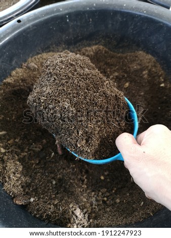 Decomposting make Earthworm fertilizer that have 2 time of nutrient much more than manure and a lot of microorganism that's good for growing organic plants and vegetable Royalty-Free Stock Photo #1912247923