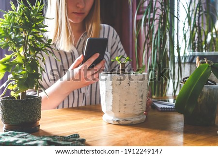 Garden.gardening home. Girl replanting green pasture in home garden.indoor garden,room with plants banner Potted green plants at home, home jungle,Garden room gardening, Plant room, Floral decor.
