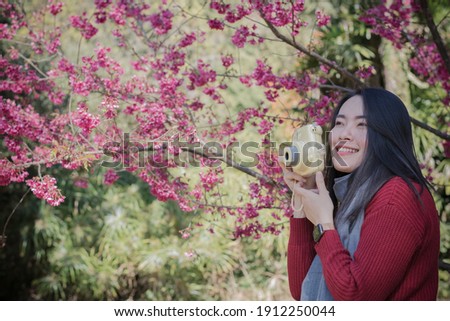 Pretty woman takes a picture of blooming cherry blossoms at garden.