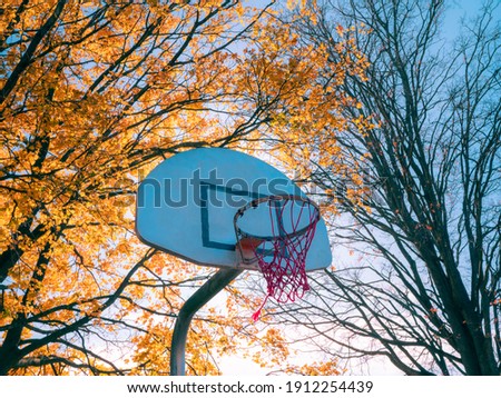 Backlit Basketball court Hoop with autumn leaves behind