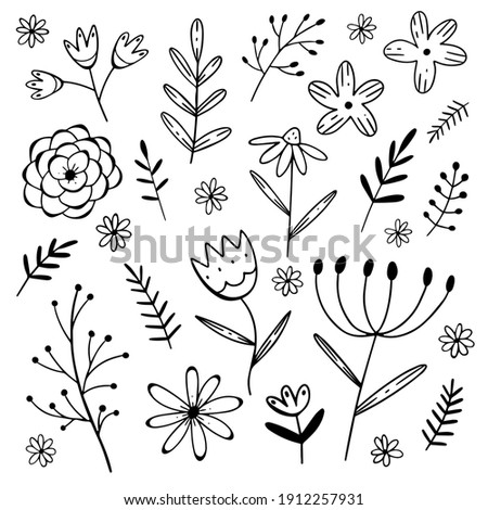 Vector set of flower and twigs in doodle style isolated on white background. Hand draw vector illustration. Collection of decorative elements.