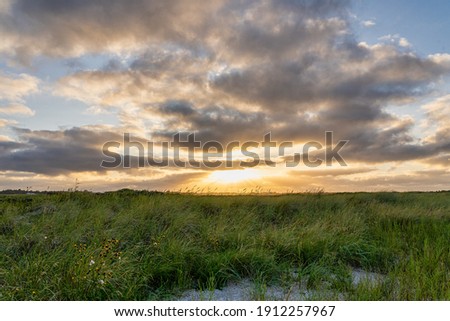 Romantic sunset on the beach over the green dunes in Jutland, Denmark