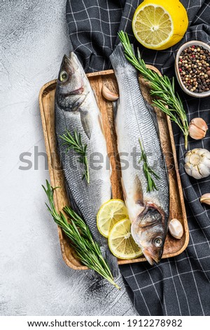 Seabass fish with herbs, raw sea bass. Gray background. Top view Royalty-Free Stock Photo #1912278982