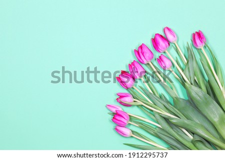 Tulip bouquet. Pink tulips on green pastel border background with copy space. Gorgeous tulips for holidays. Top view. Tulpis for Mothers day, Valentines Day, Birthday Greeting card
