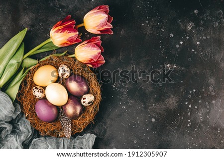  Colored easter eggs on the nest and pink tulips on a dark gray background, top view, free space for text