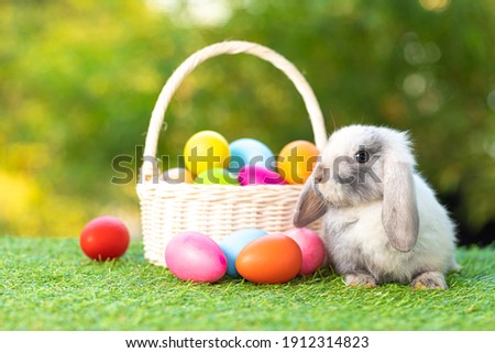 Lovely bunny easter fluffy baby rabbit with a basket full of colorful easter eggs on nature background. Symbol of  easter festival.