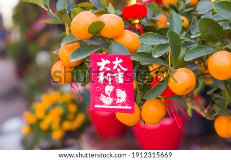 Lucky knot hanging on Tangerines  for Chinese new year greeting,Chinese character means good bless for new year