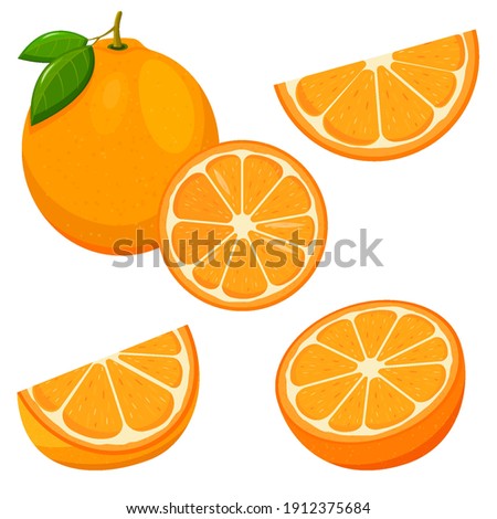 Orange. Set of fresh whole, half, cut slice orange fruit isolated on white background. Tangerine. Organic fruit. Flat style. Vector illustration for any design. Royalty-Free Stock Photo #1912375684