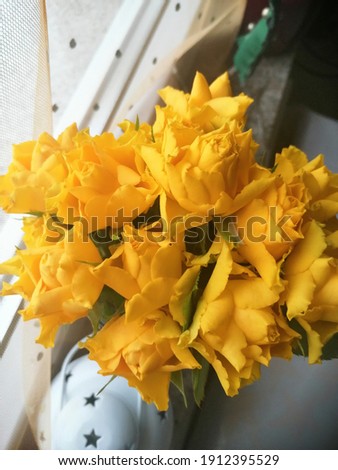 beautiful yellow flowers symbolizes friendship and purity
