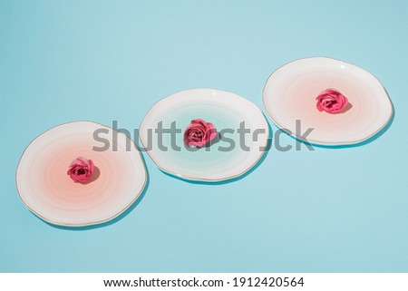 Pink roses on pastel dessert plates arranged on blue background. Minimal spring concept.