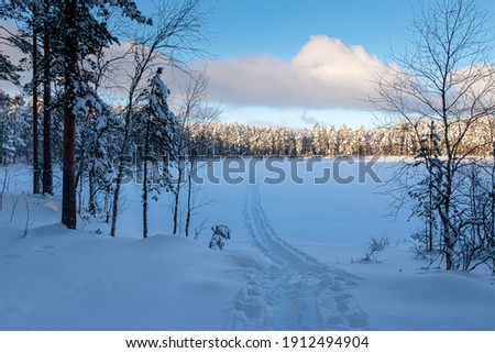 Tracks in the deep snow on a cold winter day with sunshine. Ski and walking path in the wintry landscape.