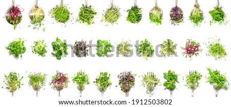 Collage of different microgreens on a white background. Selective focus. nature. Royalty-Free Stock Photo #1912503802