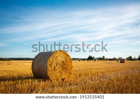 Evening landscape of straw bales on agricultural field. Countryside landscape Royalty-Free Stock Photo #1912535401