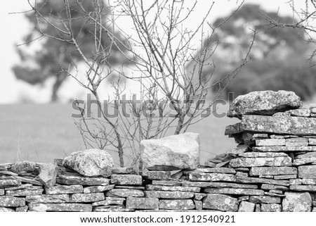 image of stone wall in rural environment, black and white image