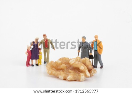 miniatures of people looking at a giant walnut 