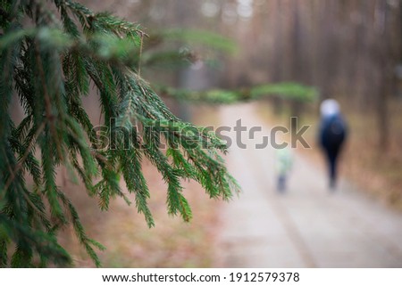 walk in the woods. forest. spruce branch. dad and son. secret conversation. path in the forest