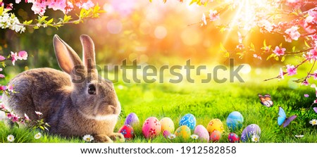 Easter - Cute Bunny In Sunny Garden With Decorated Eggs Royalty-Free Stock Photo #1912582858