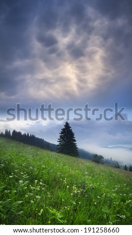 Field and dark sky during storm. Beautiful natural landscape