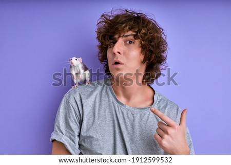 rodent training and taming. male with decorative rat on shoulders, young male makes funny face, grimace. isolated purple background