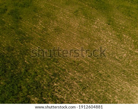 View from a flying drone, a field with green grass on a summer day. Textured background for design