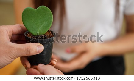 A heart-shaped plant pot in the hand of a young man to squat to his girlfriend on Valentine's Day.