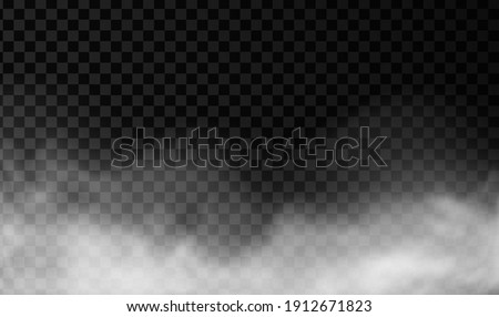 White smoke or fog vector background. Isolated mist transparent effect. Steam texture illustration. Powder explosion concept.
