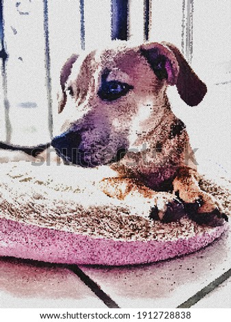 Abstract Dog Portrait with a Stained Glass Effect 