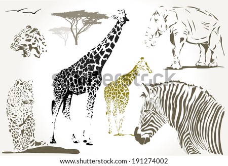 Set of wild african animals giraffe, jaguar zebra, elephant, vector illustration