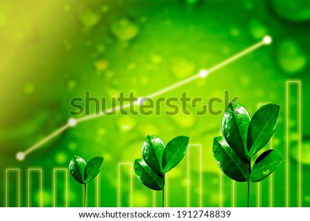 Agriculture plant seeding growing. Germinating seedling. Business development growth, planing and strategy concept Royalty-Free Stock Photo #1912748839