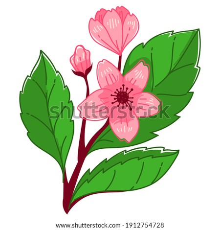 Cherry blossom tree branch with leaves and flourishing. Isolated sakura with tender petals and foliage. Hanami seasonal blooming in asian countries. Flora and botanical biodiversity, vector in flat