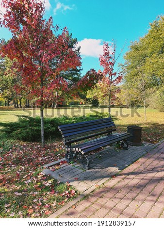 Beautiful black wrought iron bench which is located in the autumn park next to yellow and red trees