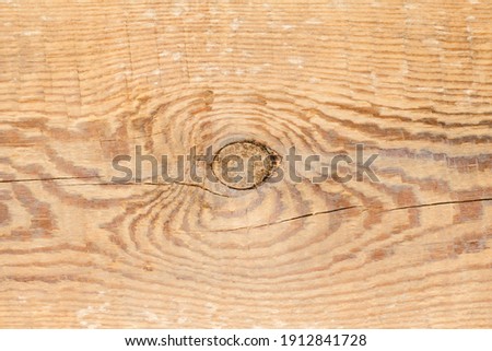 Wood knot background. Grunge wooden texture. Dry desk cracks pattern. Cut tree slice cross section. Uneven natural material board. Brown wooden knot.