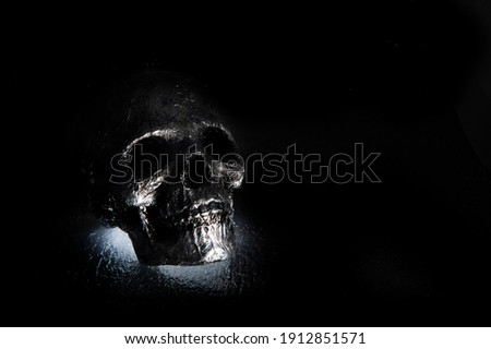 human silver skull on black background