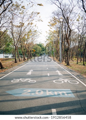 cycling path in the park. bicycle traffic sign painted on the floor