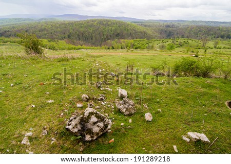 Landscape with rocks and trees