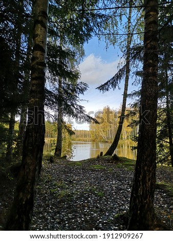 View of a little forest lake and birch trees and spruce trees at autumn sunny day 