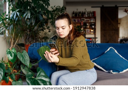 Woman making photo standing of flowerpot on the ladder at home living room on blue sofa