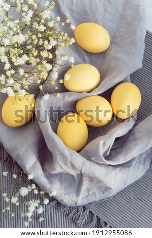 Colored yellow eggs on easter, decorated gypsophila flowers on gray cloth background
