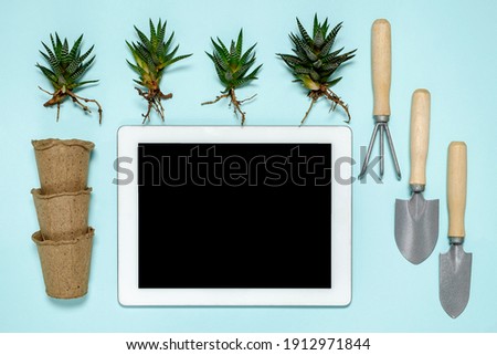 Gardening online course cover. Gardening course mockup. Flat lay of the tablet, room plants or succulents, gardening set, flowerpots on the blue background. Copy space, mockup, top view.