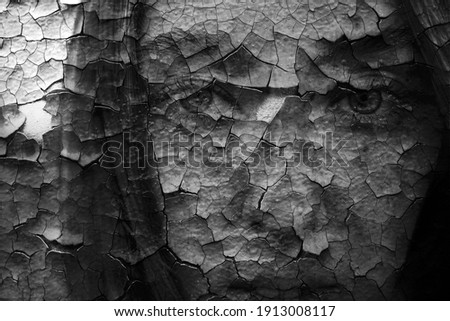 Woman face with cracked skin. Skin of woman is  painted and cracked. Wall texture like a dried skin. 