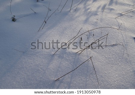 background pictures with snow in the nature or outside
