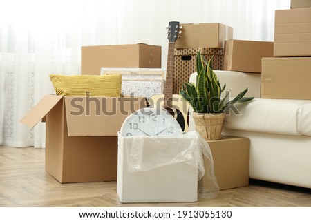 Cardboard boxes, potted plants and household stuff indoors. Moving day Royalty-Free Stock Photo #1913055130